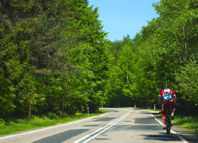 Ruszył sezon rowerowy. Co powinien robić rowerzysta, aby być bezpiecznym na drodze