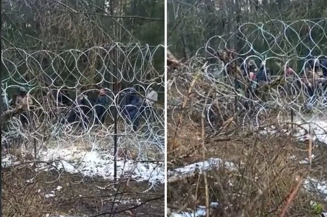 Migranci forsowali granicę polsko-białoruską! Latały kamienie, kawałki drzewa i metalowe rurki [WIDEO]