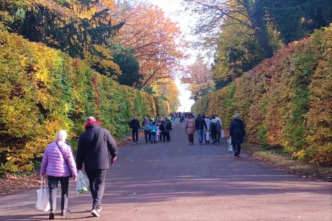 1 listopada na Cmentarzu Centralnym w Szczecinie