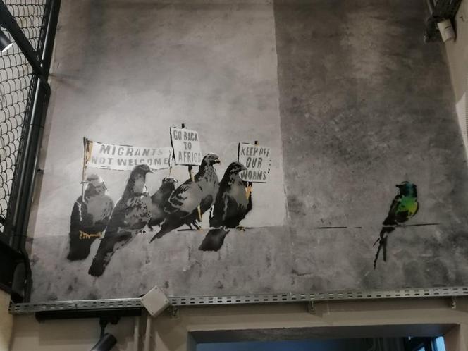 Ferie w Krakowie? Wystawę Banksy'ego, najbardziej tajemniczego artysty na świecie, koniecznie trzeba zobaczyć