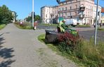 Trawniki w Lesznie wybujały. Koszą prawie codziennie [ZDJĘCIA]