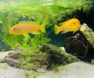 Rozmawiamy z Tomaszem Wiśniewskim, założycielem Aqua Dreams Bydgoszcz