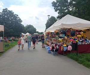 Smoczy Piknik Rodzinny 2025 w Krakowie