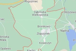 Miasta o największej gęstości zaludnienia w woj. lubuskim