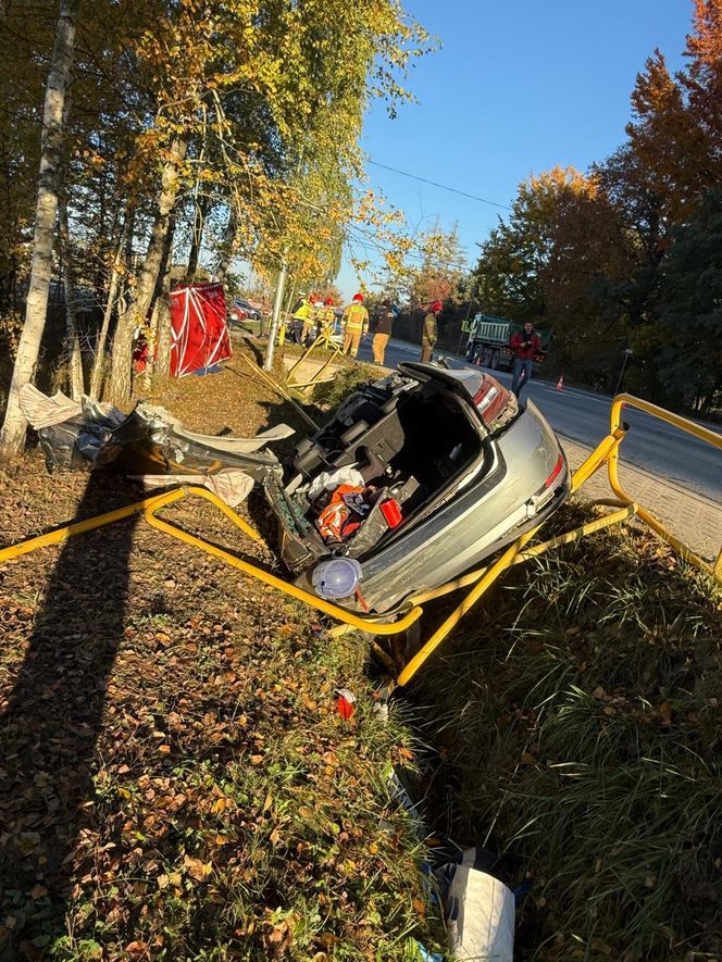 Tragiczny wypadek na DK73 w miejscowości Cieliny