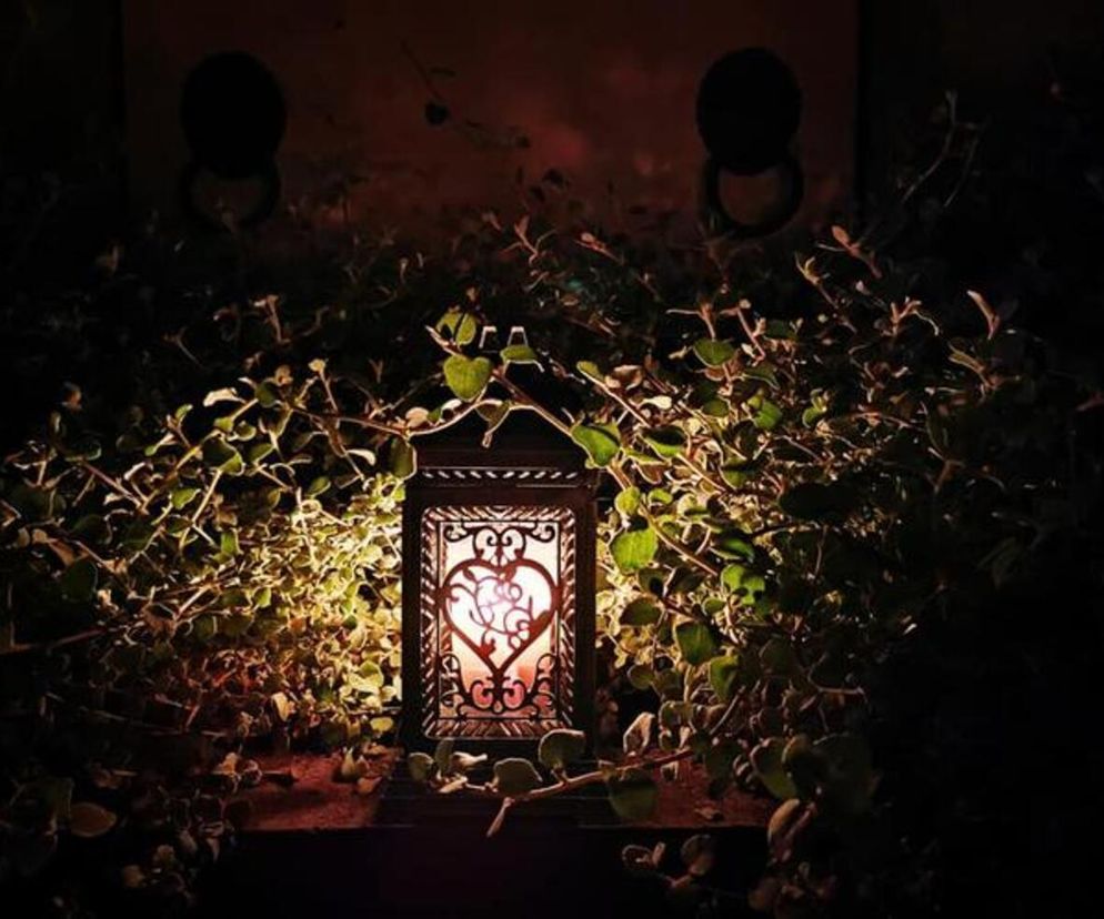 Wszystkich Świętych. Jak będą wyglądały zmiany w organizacji ruchu w Kaliszu?