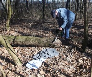 Jarka zabiło drzewo gdy porządkował las