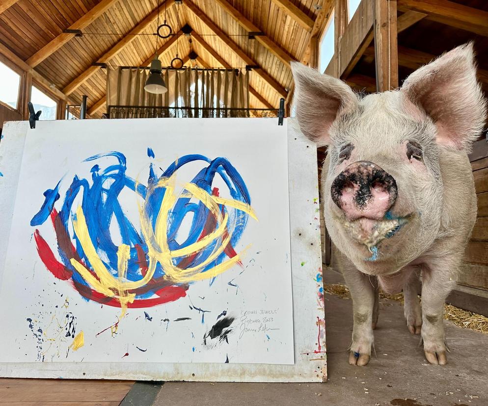 Świnia została malarzem!