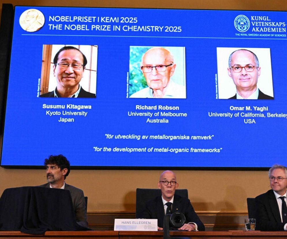 Susumu Kitagawa, Richard Robson i Omar M. Yaghi - laureatami Nagrody Nobla z chemii.