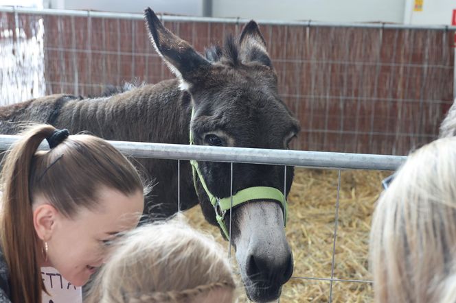 ZooPark ponownie przyciągnął do Targów Lublin tłumy miłośników zwierząt