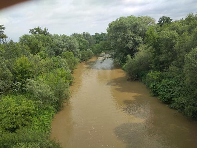 Sytuacja hydrologiczna w Tarnowie. Czy grozi nam powódź?