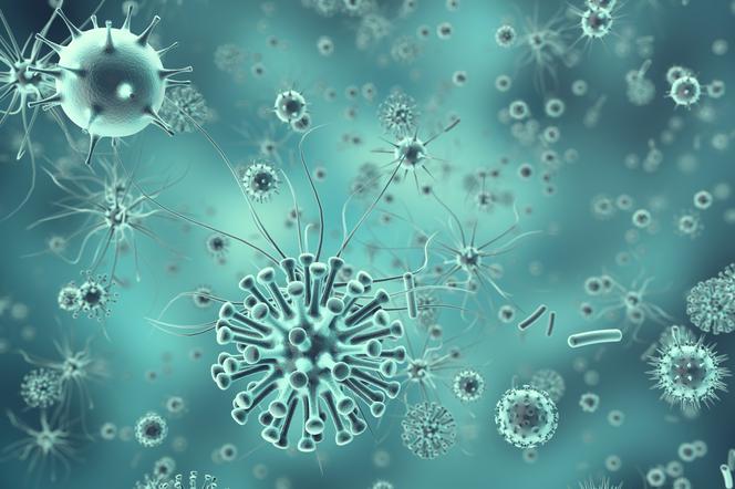 Amerykański szczep grypy AH3N2 - objawy zakażenia i leczenie