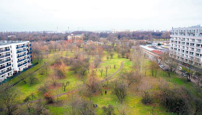 Zostawcie nam ten park!