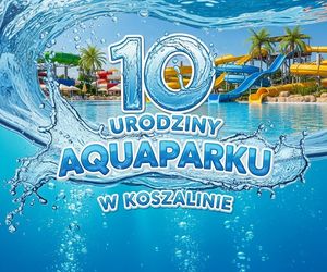 10 lat wodnej zabawy – Park Wodny Koszalin zaprasza na urodzinowy maraton atrakcji