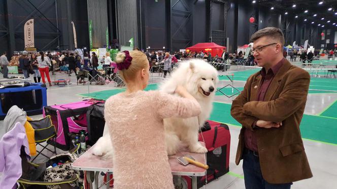 Tysiące psów i odwiedzających. II Międzynarodowa wystawa Psów Rasowych odbyła się w Bydgoszczy
