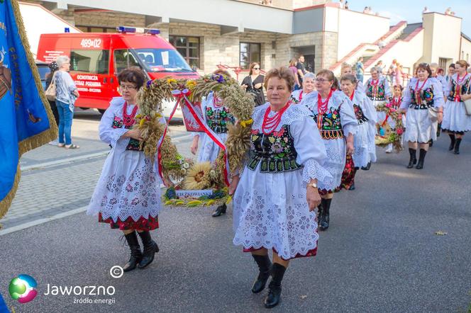 Dożynki miejskie w Jaworznie