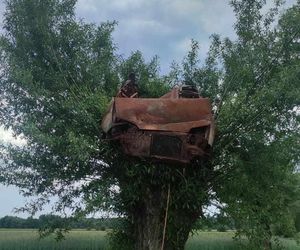 Spalony wrak samochodu zawisł na drzewie. Niecodzienna interwencja w Radostowie