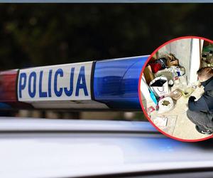 Strażnicy graniczni i wejherowscy policjanci zabezpieczyli 50 kg narkotyków o wartości ponad 3 mln zł