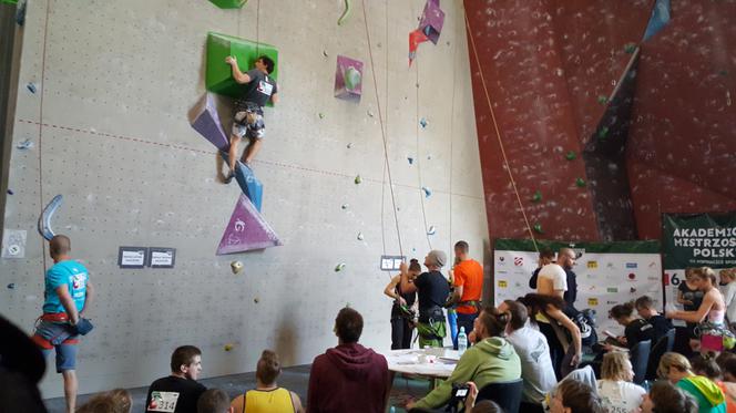 Akademickie Mistrzostwa Polski we wspinaczce sportowej