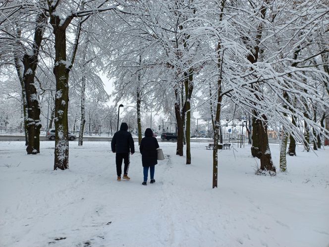 Leszno wygląda bajkowo! Na walentynki sypnęło śniegiem