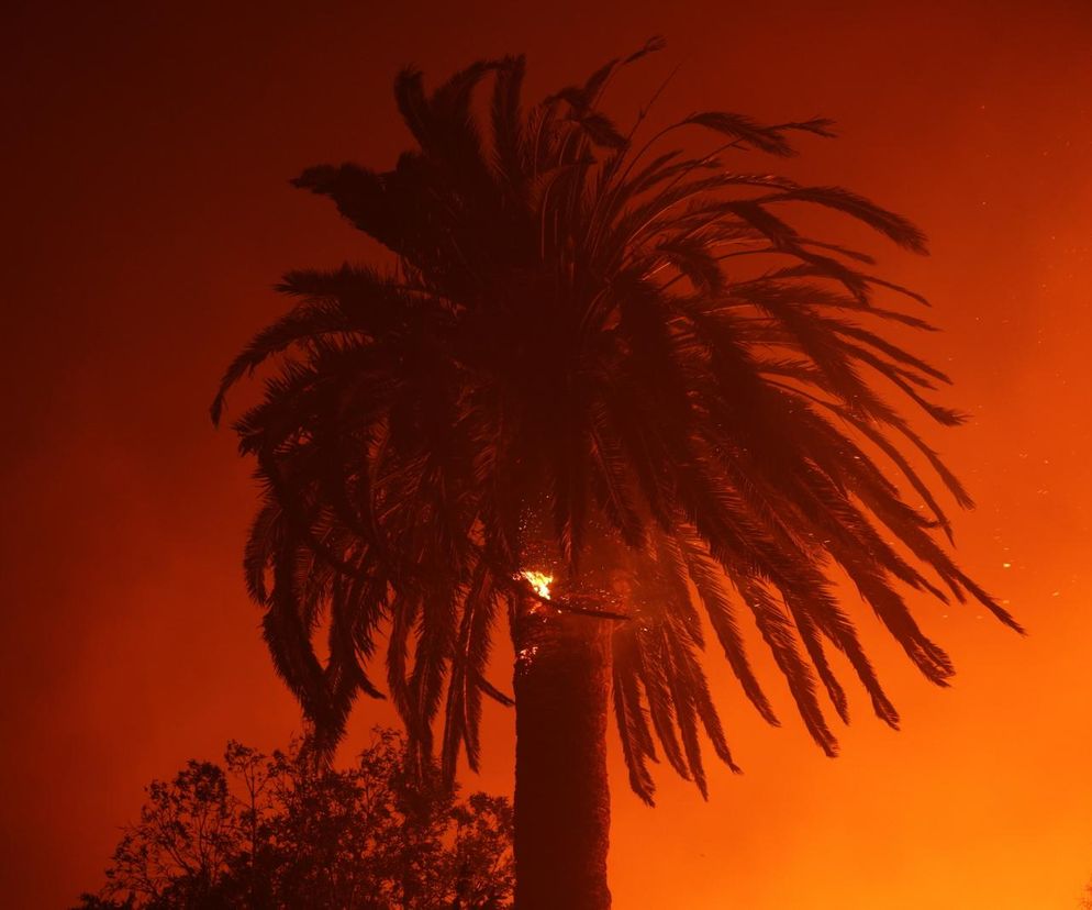 Strażacy walczą z pożarem w Pacific Palisades, ekskluzywnej dzielnicy Los Angeles 