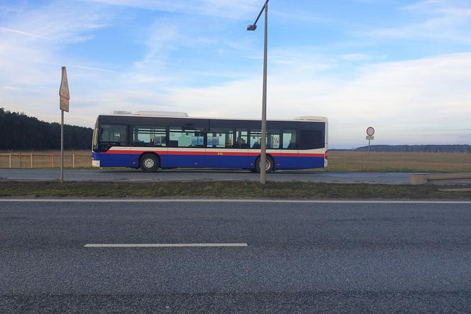 Czterdziestka zawiezie nas do Ostromecka. I to już w majówkę!