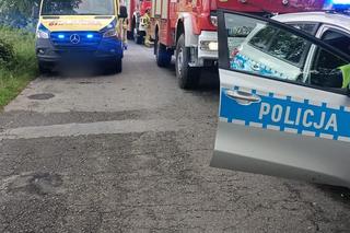  Tico wypadło z drogi i roztrzaskało się na drzewie. 55-latek zginął na miejscu 