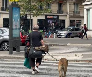 Paryż wstydzi się bezdomnych