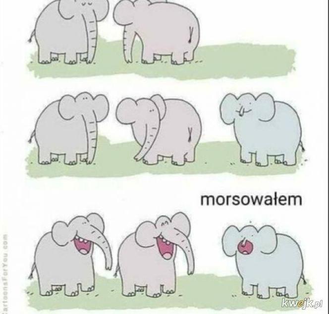 Najlepsze memy o morsowaniu na rozpoczęcie sezonu! Uśmiech gwarantowany 