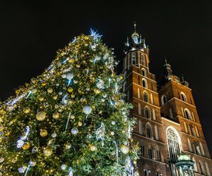 Najpiękniejsza choinka na świecie znajduje się w Polsce! Gdzie ją zobaczyć?