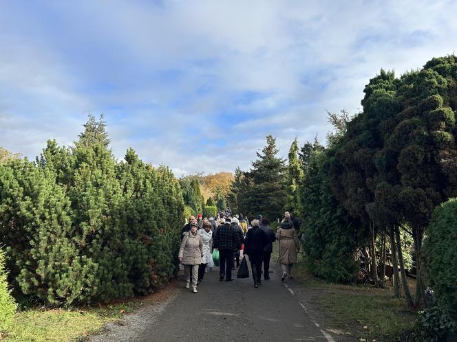 Wszystkich Świętych 2023 Cmentarz Centralny Szczecin 