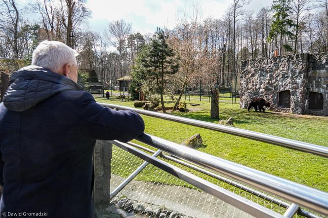 Nowe niedźwiedzie w zoo Akcent w Białymstoku