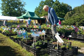 Chorzów: Kwiaty, zioła i dodatki do ogrodu. W Parku Śląskim trwa Święto Kwiatów [ZDJĘCIA]