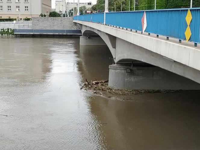 Poziom wody w Odrze wciąż rośnie! Zobaczcie zdjęcia [GALERIA]