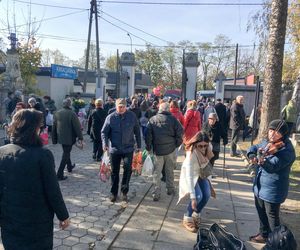 Zmiany w MPK Łódź na Wszystkich Świętych. Sprawdź, jak dojechać na cmentarz
