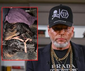 Awantura o KUCYNKĘ Lusię. Krzysztof Rutkowski może zapłacić PÓŁ MILIONA złotych zadośćuczynienia