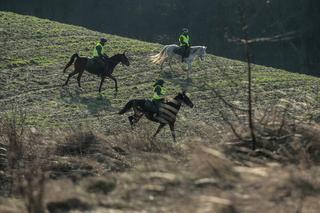 Poszukiwania elementów obiektu latającego