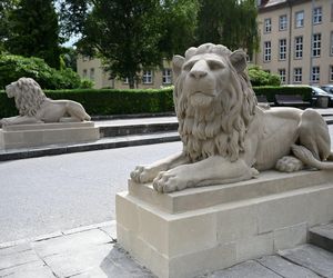 Koszalińskie lwy odzyskały dawny blask