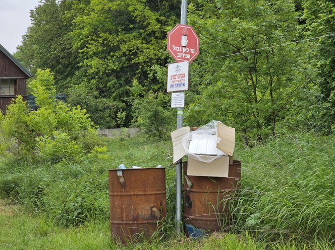 Cmentarz żydowski w Leżajsku