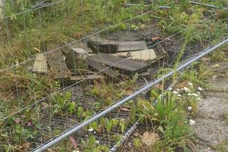 Tajemnicze przejście wydrążone pod mennicą