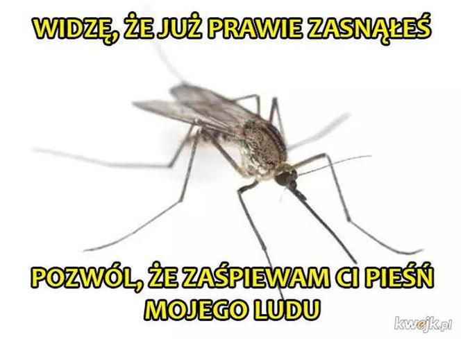 Przywołujemy wiosnę! Jedni topią Marzannę, a inni robią MEMY