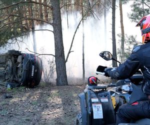 M jak miłość, odc. 1875. Dominik Walat (Bartosz Surówka)