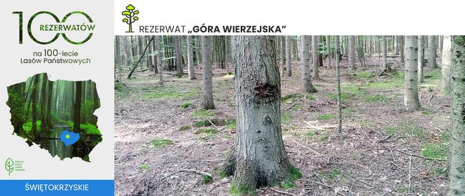 Góry Wierzejska pod Kielcami będzie nowym rezerwatem