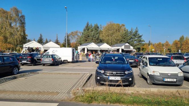 Korki i pełne parkingi. Tak wygląda sobota przed cmentarzem na Junikowie