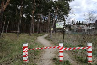 Zakaz wstępu do lasu