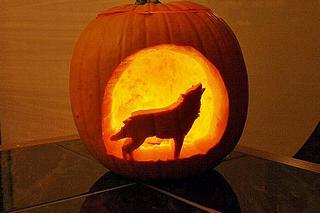 Dynia z wilkołakiem na Halloween: ZRÓB TO SAM z SZABLONEM!