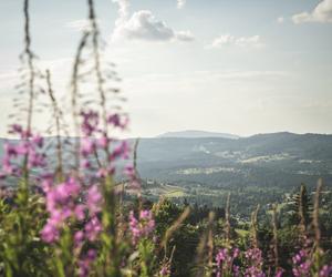 Polska Na Przełaj IV. Odkryj Trójwieś Beskidzką z Wędrownymi Motylami!