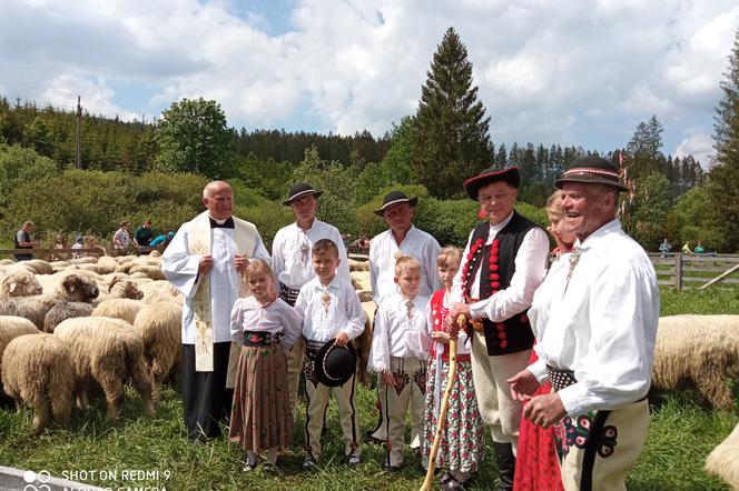 Zwyk Bacowski  w Soblówce. W tamtejszej osadzie pastereskiej  odbył się tradycyjny obrzęd mieszania owiec przed wyjściem na hale