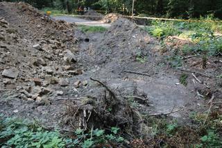 Rowerem z okolic Ślęży do Świnoujścia. Mieszkaniec Sobótki walczy z wycinką drzew