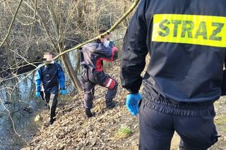 Ciało znalezione w rowie melioracyjnym 